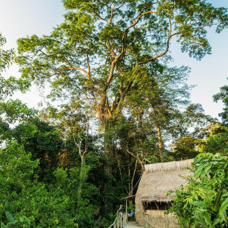 Ngaga Camp