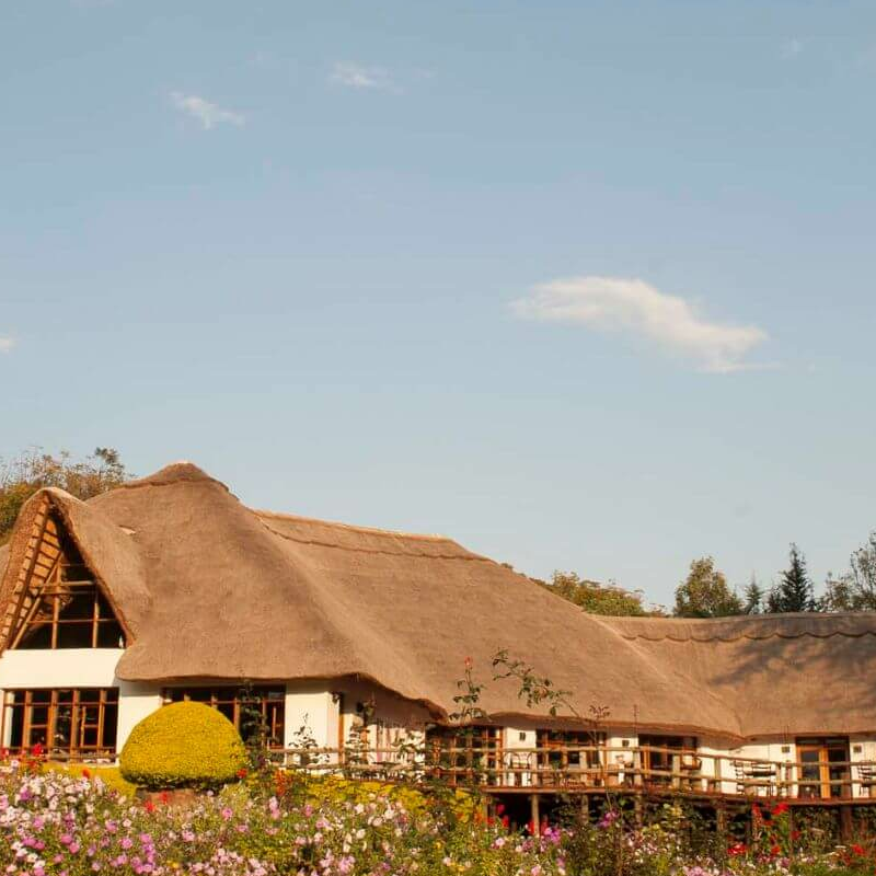 Ngorongoro Farmhouse