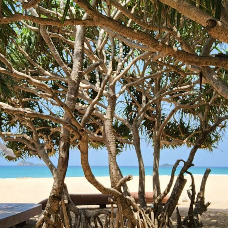Nilaveli Beach Resort
