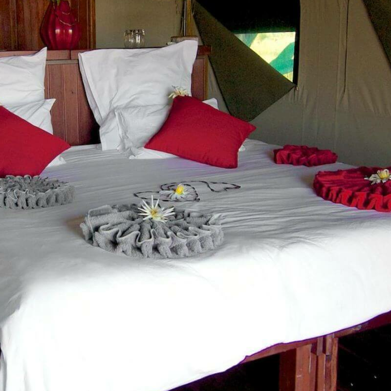Nkasa Lupala Lodge