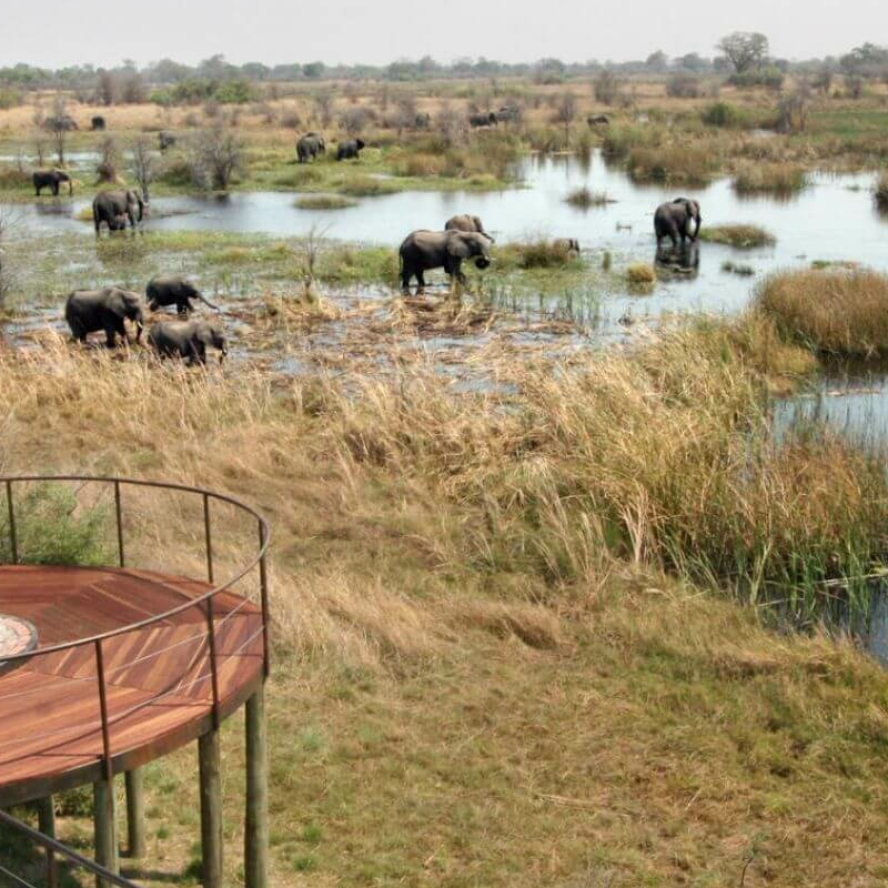 Nkasa Lupala Lodge