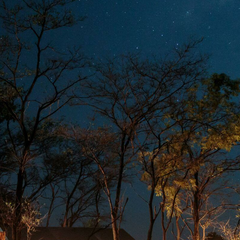 Nkonzi Bush Camp