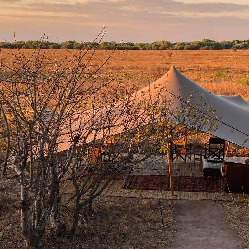 Ntemwa Busanga Camp