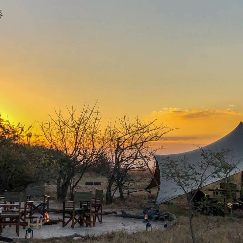 Ntemwa Busanga Camp