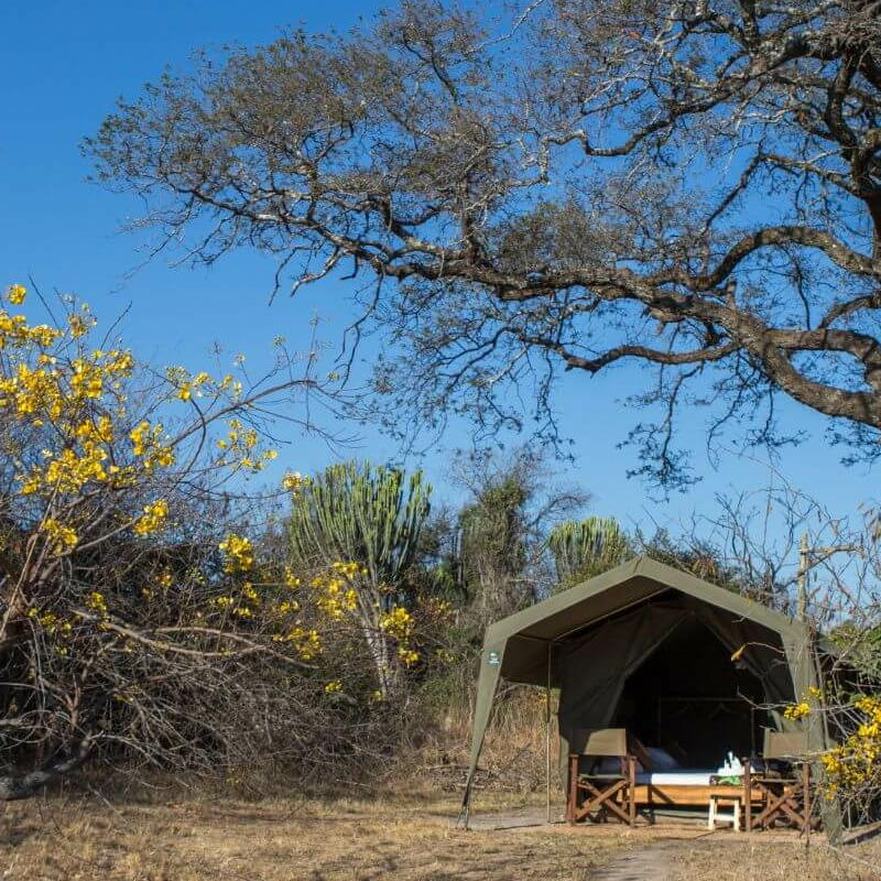 Ntemwa Busanga Camp