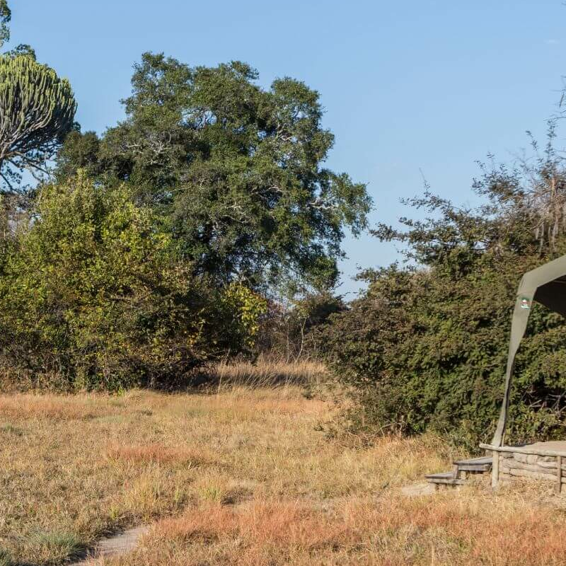 Ntemwa Busanga Camp