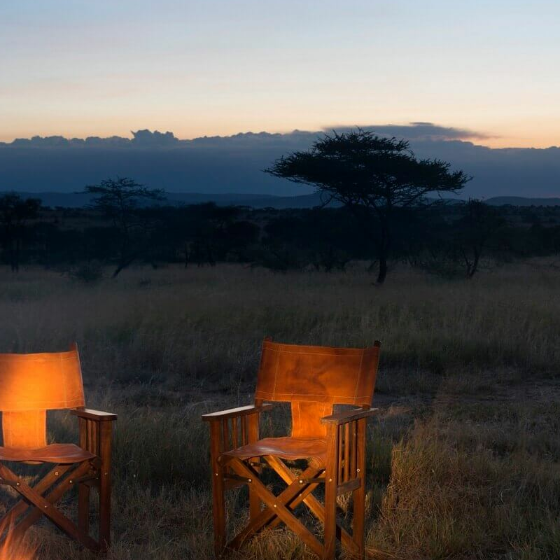 Nyikani Migration Ndutu