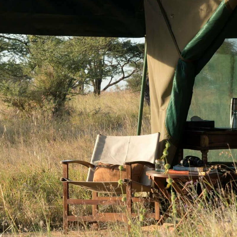 Nyikani Migration Ndutu