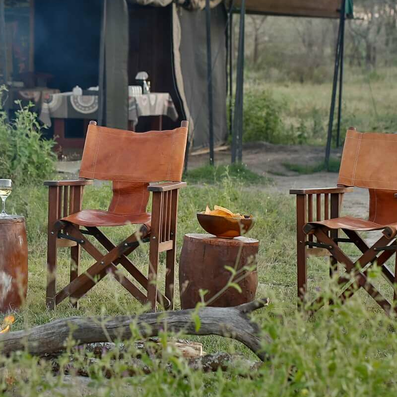 Nyikani Migration Ndutu