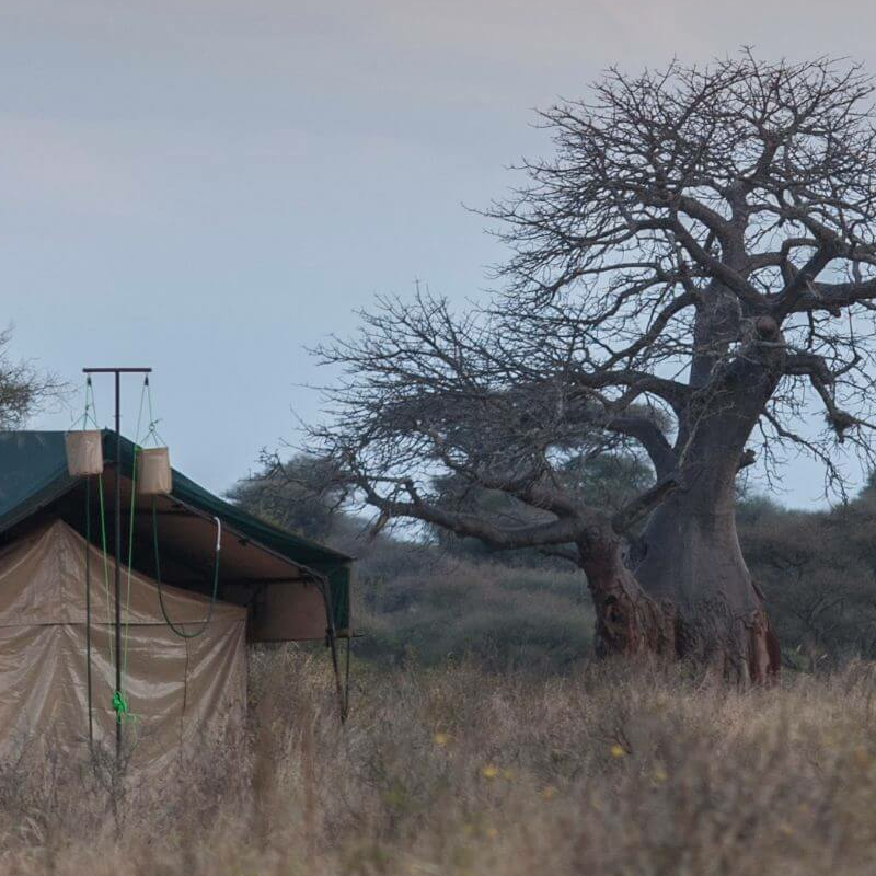 Nyikani Tarangire Camp
