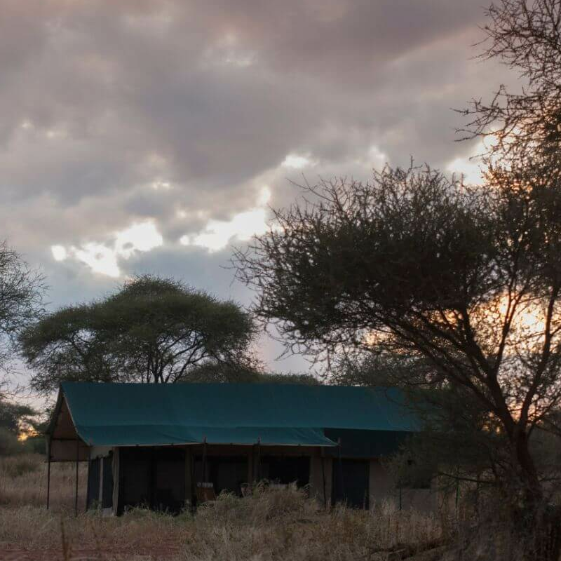 Nyikani Tarangire Camp