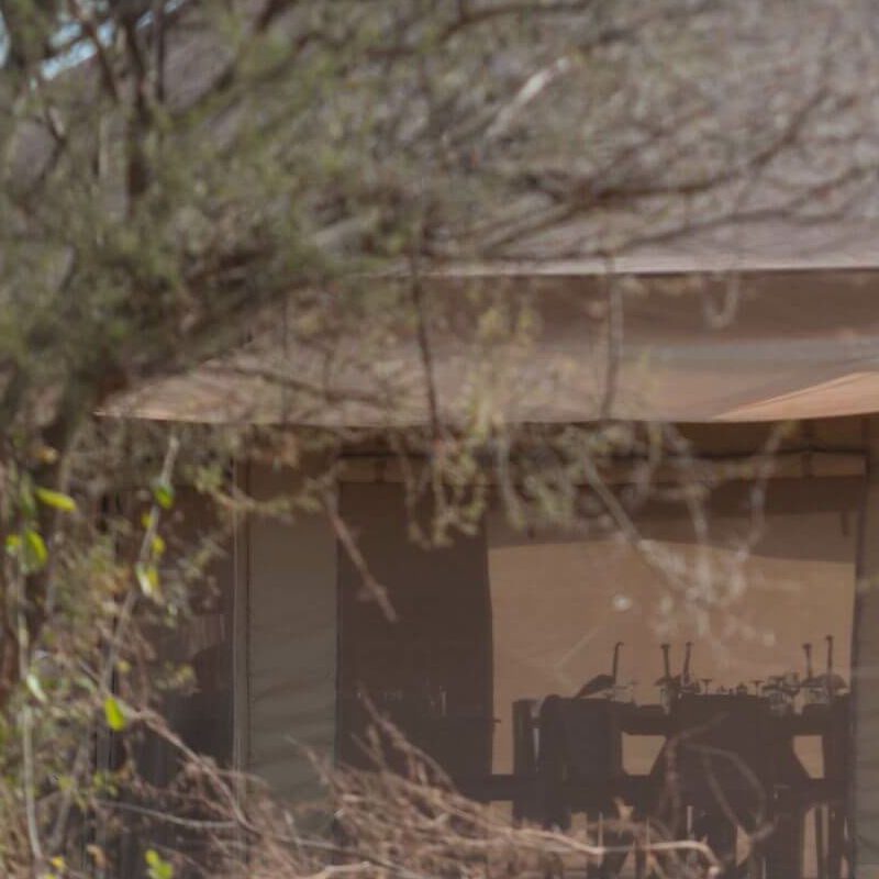 Nyikani Tarangire Camp