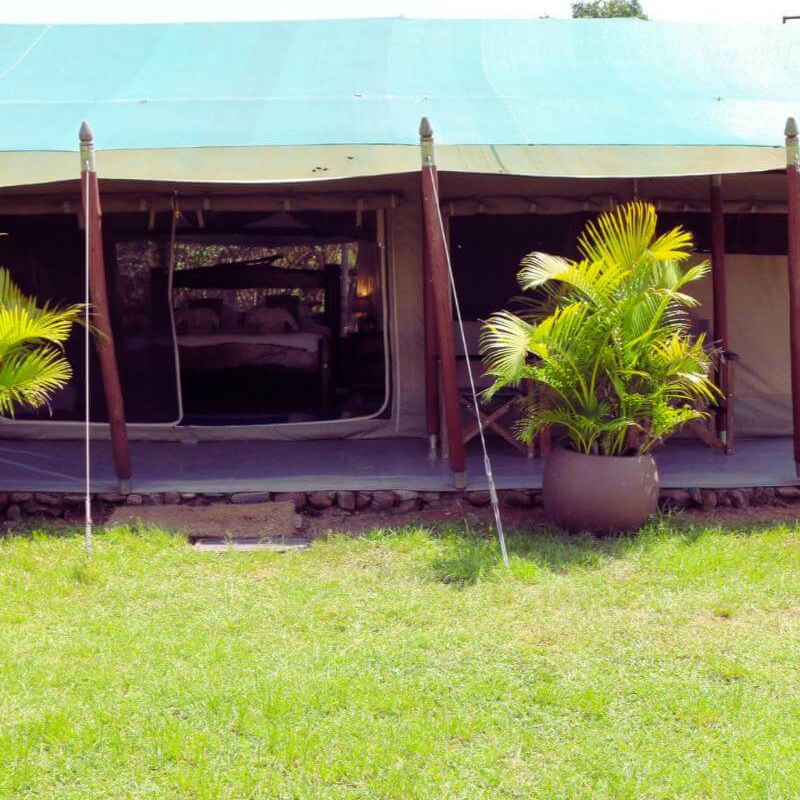 Offbeat Mara Camp