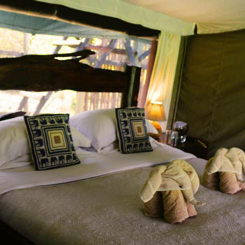 Offbeat Mara Camp