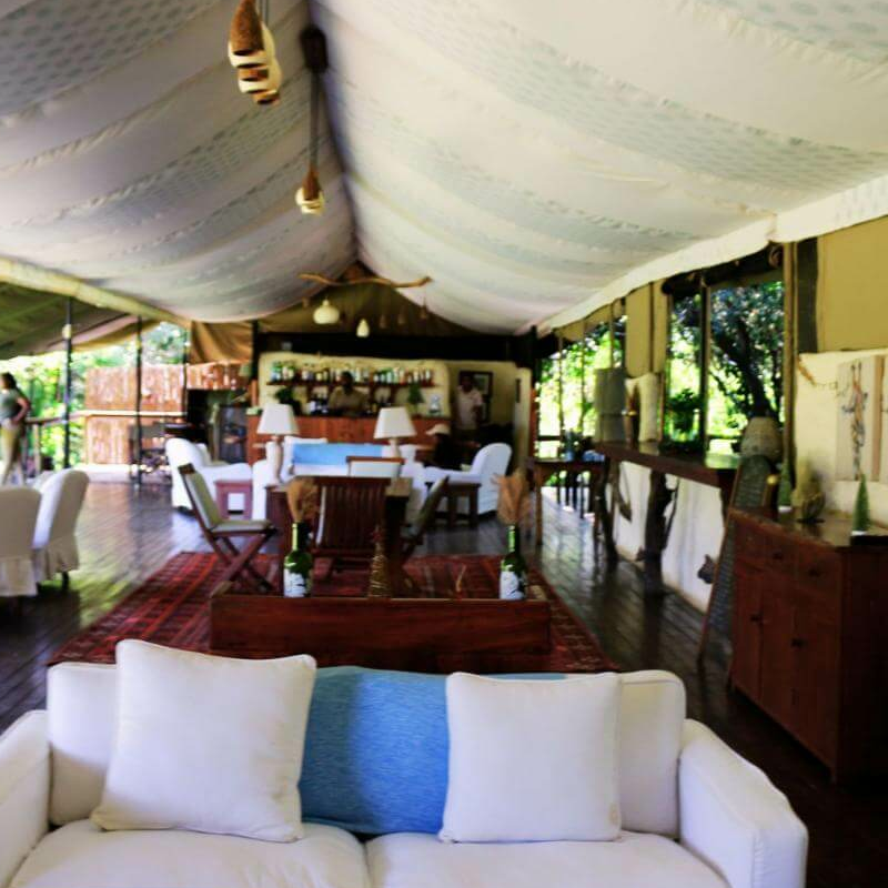 Offbeat Mara Camp