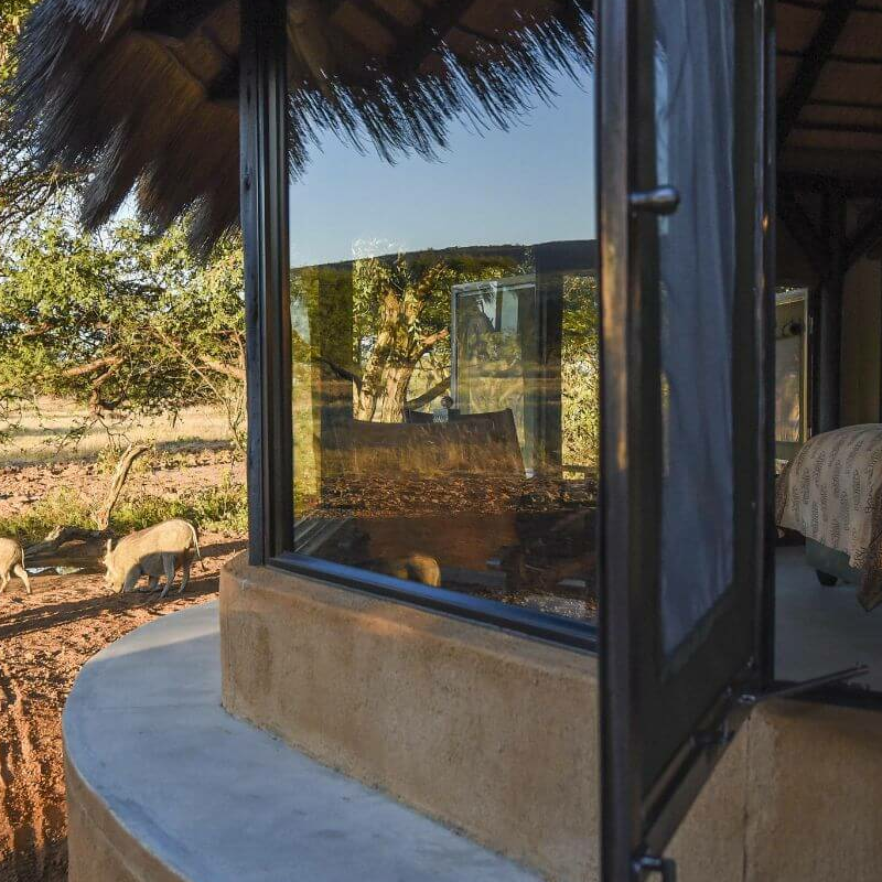 Okonjima Bush Camp