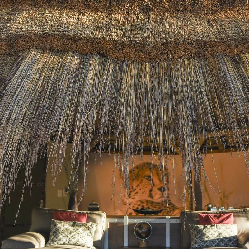 Okonjima Bush Camp