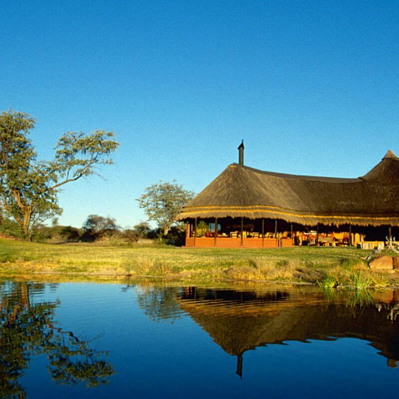 Okonjima Bush Camp