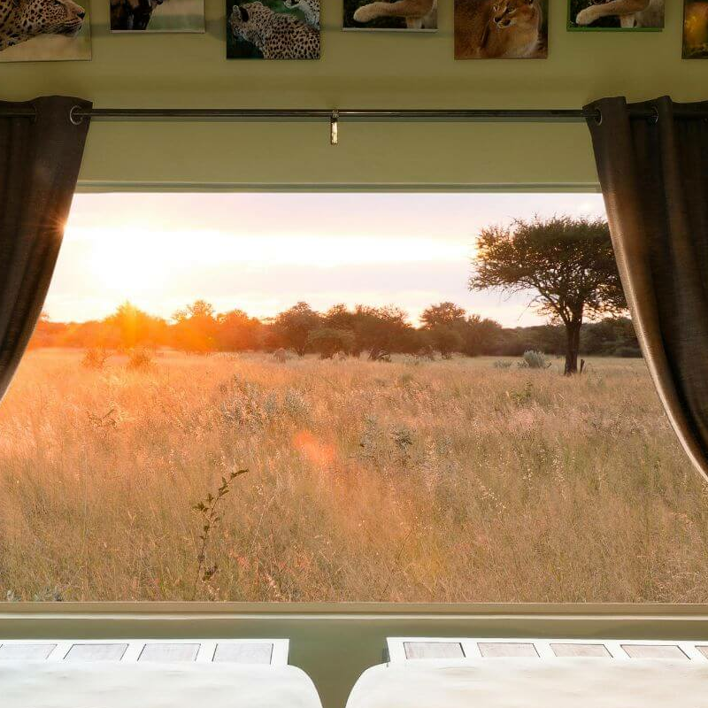 Okonjima Plains Camp