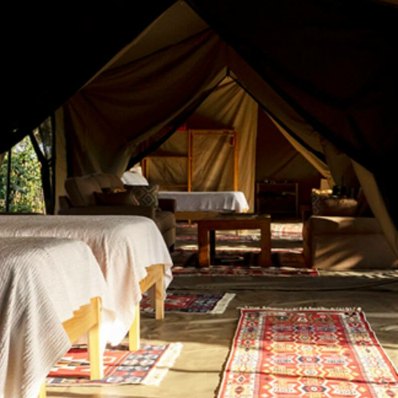 Ol Pejeta Bush Camp