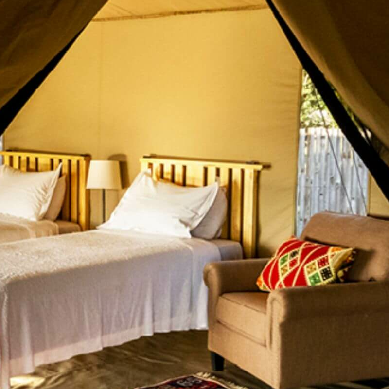 Ol Pejeta Bush Camp