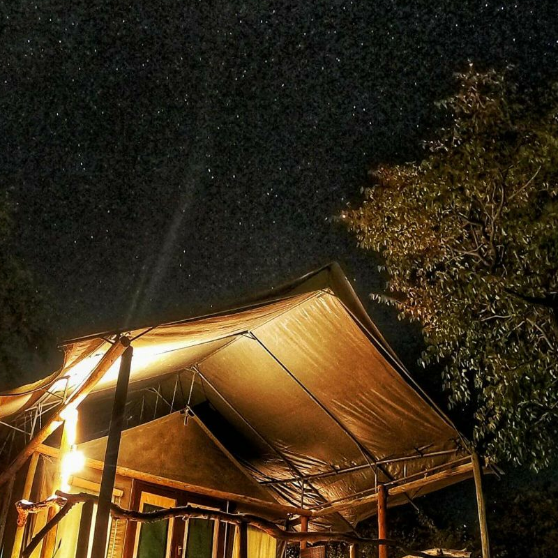 Ongava Tented Camp