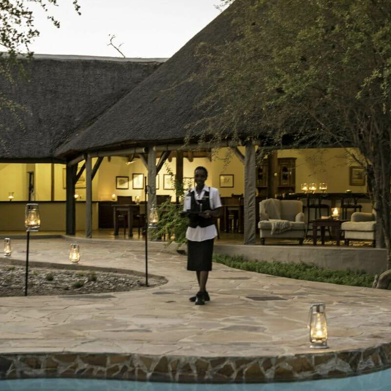 Onguma Etosha Aoba