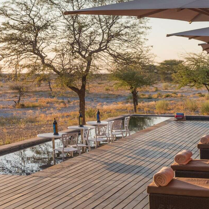 Onguma Etosha Aoba