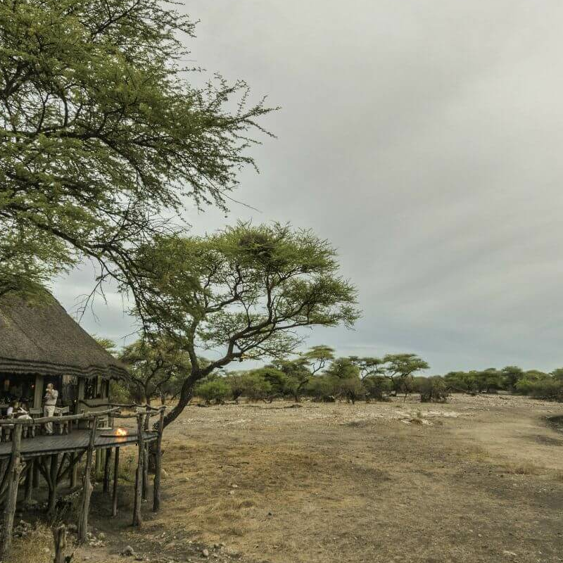 Onguma Tree Top Camp