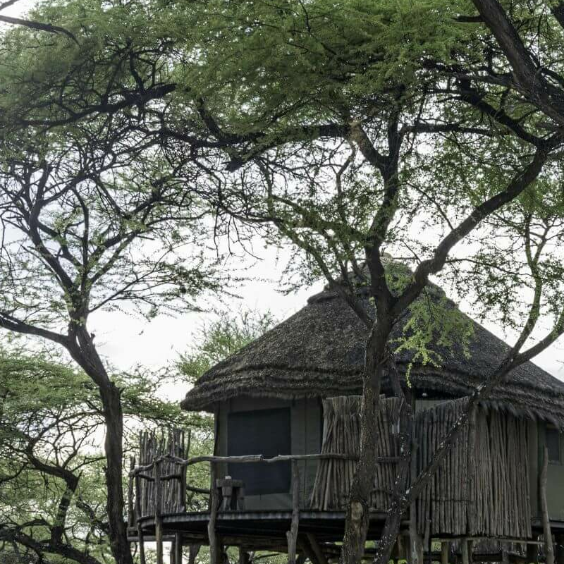 Onguma Tree Top Camp