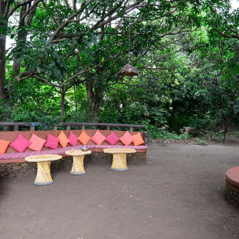 Paatlidun Safari Lodge