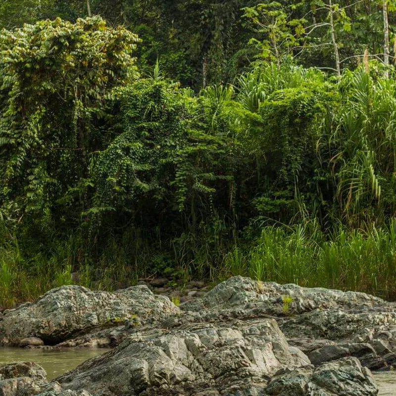 Pacuare Lodge