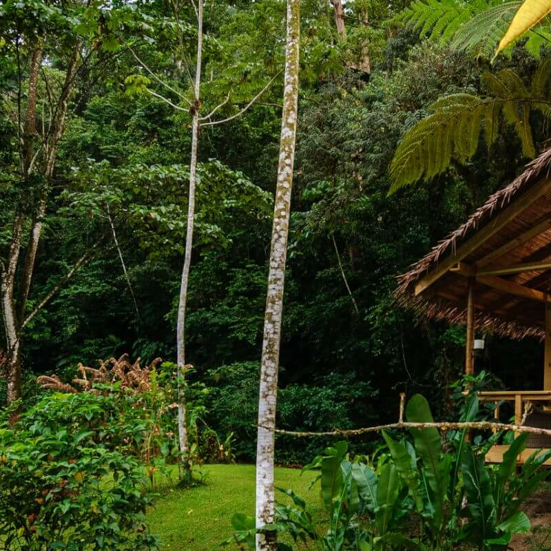 Pacuare Lodge