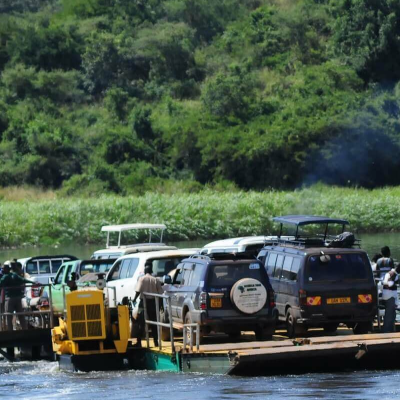 Pakuba Safari Lodge