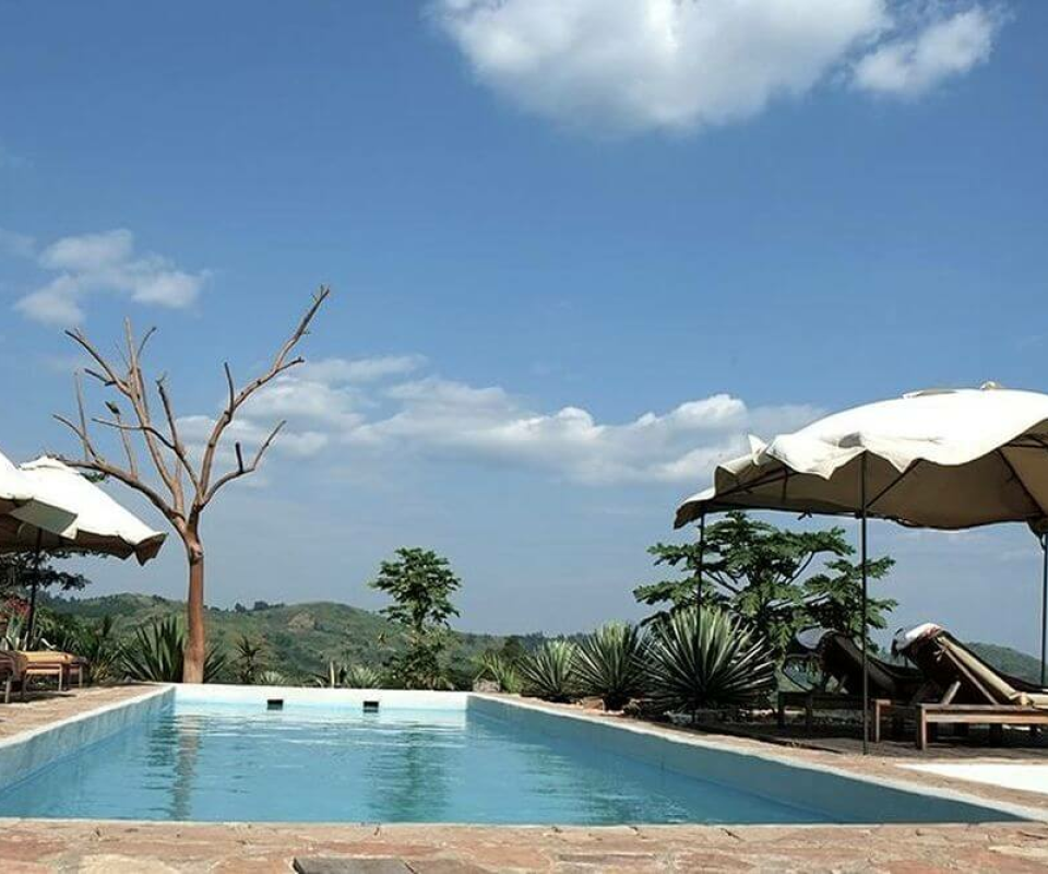 Papaya Lake Lodge