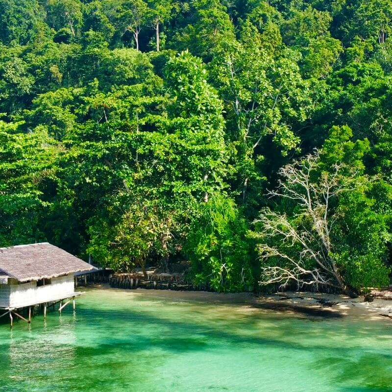 PapuArts Alternative Stay