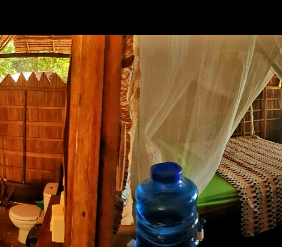 PapuArts Alternative Stay