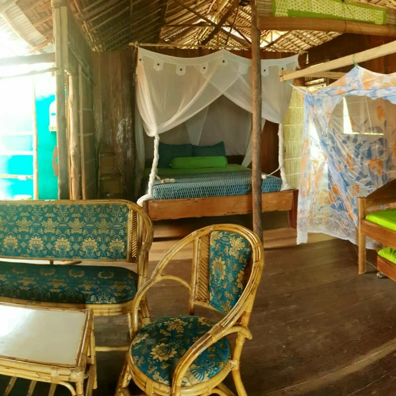 PapuArts Alternative Stay