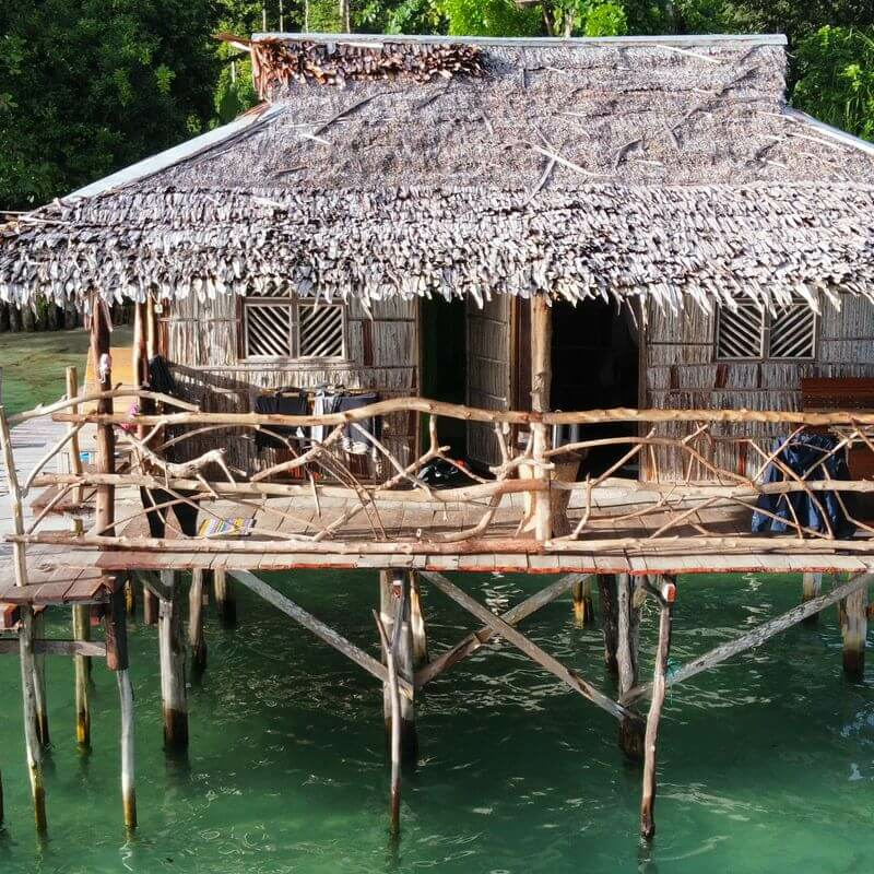 PapuArts Alternative Stay