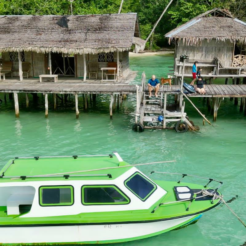 PapuArts Alternative Stay
