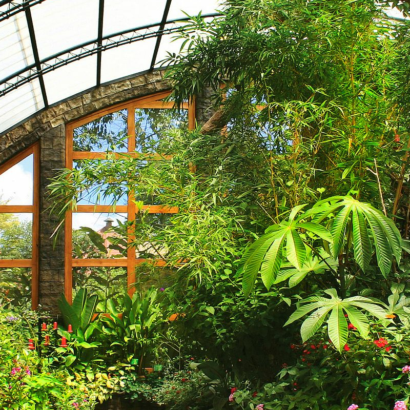 Peace Lodge