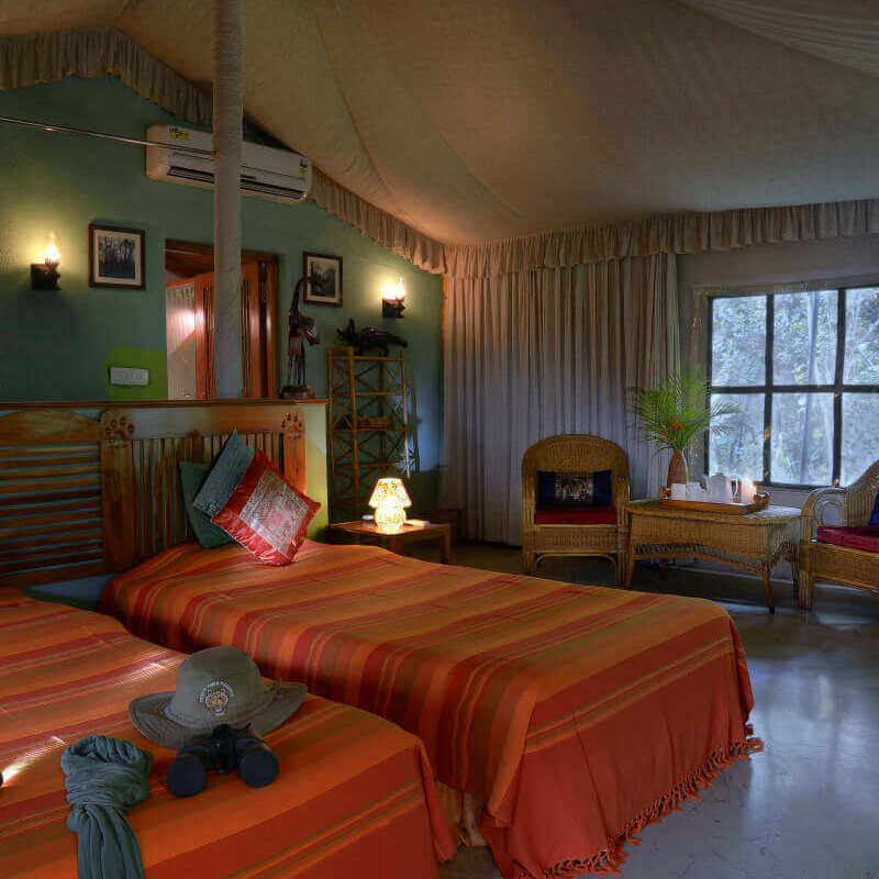 Pench Jungle Camp
