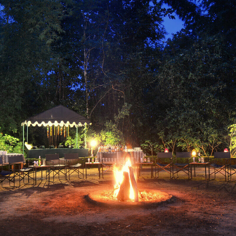 Pench Jungle Camp
