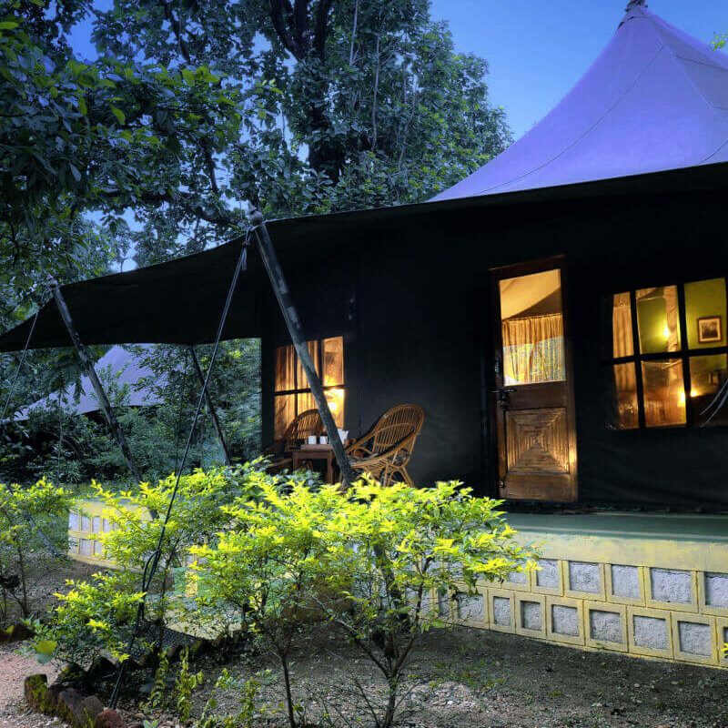 Pench Jungle Camp
