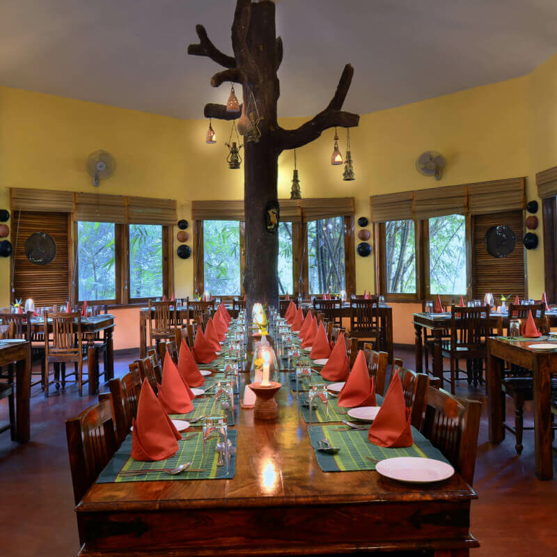 Pench Jungle Camp