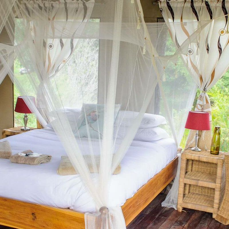 Pinnon Safari Lodge