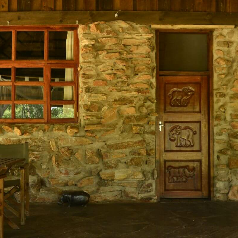 Pioneer Camp