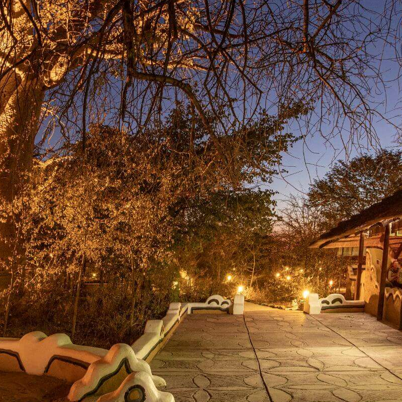 Planet Baobab Lodge