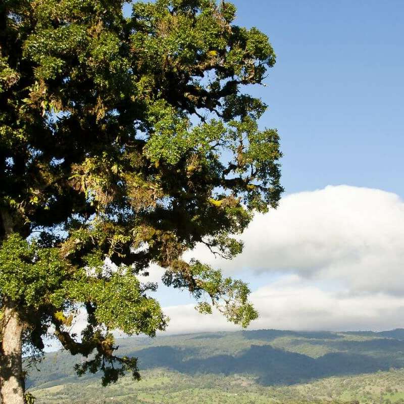 Poas Volcano Lodge