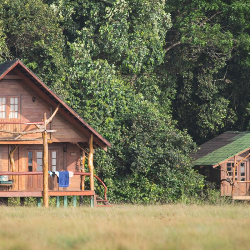 Pongara Lodge